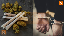 Two Drug Dealers Arrested in Kalamna Nagpur with 20.75 Kg Ganja Worth Rs 3.75 Lakh
								